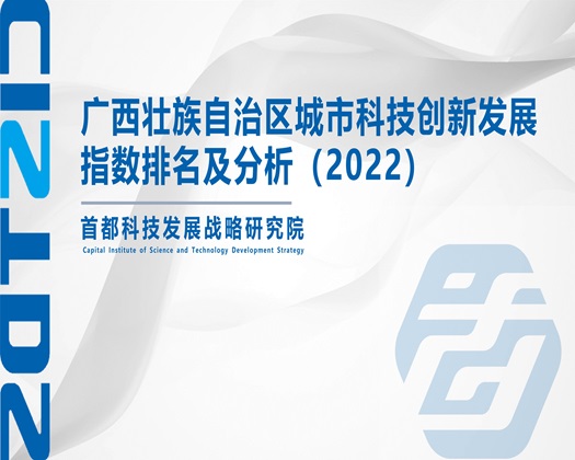 舔骚逼视频【成果发布】广西壮族自治区城市科技创新发展指数排名及分析（2022）